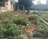 Siêu đẹp 50m2 tại Lương Quy An Dương Hải Phòng