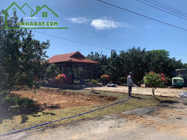 BÁN ĐẤT TRỪ VĂN THỐ – BÀU BÀNG – GIÁ TỐT ĐẦU TƯ/AN CƯ - 2