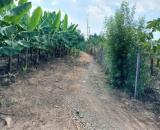 Cần bán Đất nông nghiệp 2000m2 xã Thanh Sơn H. Định Quán T.Đồng Nai 350 triệu