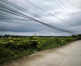 BÁN GẤP ĐẤT 8mx22m THỔ NGAY KCN VĨNH LỘC 2 – BẾN LỨC, LONG AN – GIÁ CHỈ 18TR/M2(TL), SHR