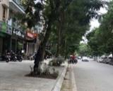 Bán nhà mặt phố Vạn Bảo 113m², 5 tầng, mặt tiền 5,8m - Vỉa hè rộng -Kinh doanh đỉnh -68tỷ