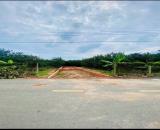 CƠ HỘI SỞ HỮU ĐẤT ĐẸP TẠI BÀU BÀNG, TP.HCM – VỊ TRÍ TIỀM NĂNG, PHÁP LÝ RÕ RÀNG