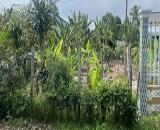 CHỦ GỬI BÁN GẤP – ĐẤT RỘNG GẦN 1.500m² – MĂNG THÍT, VĨNH LONG