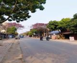 Chưa đến 3 tỉ sở hữu đất đẹp ngay trục xe buýt Phúc Xuân - Trung Giã