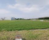 Bán đất mặt tiền Lê Thị Mai (XTT 6 cũ), Xuân Thới Sơn, Hóc Môn, 3803m2, ngang 42m, giá rẻ.