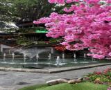 nhận mua bán ký gửi nhà đất khu dân cư xuyên á cầu nhỏ đức hoà long an đường tỉnh lộ 9