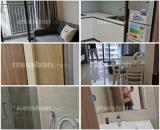 CHÍNH CHỦ CHO THUÊ CĂN HỘ CHUNG CƯ TÒA  OCEAN PARK 1 - GIA LÂM - HÀ NỘI