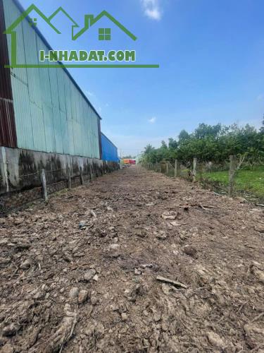 Bán Thửa ĐẤT MẶT TIỀN Quốc Lộ 1A Rộng 800m2. Mỹ Đức Đông-Cái Bè cũ. - 1
