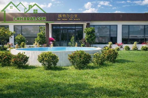 Hoa Viên Long Lăng – Lưu giữ tro cốt, vừa sử dụng vừa đầu tư, giá 50 triệu/ô - 3