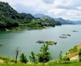 Đất rẻ sát sân golf Hồ Suối Hai, TL91, oto, vuông, nở hậu, Thụy An, Ba Vì, 179m, 155tỷ