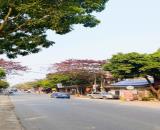 Chính chủ cần bán đất đẹp ngay trục chính xe buýt Phúc Xuân - Trung Giã chỉ 2,5 tỉ