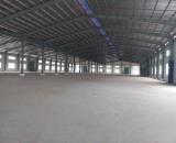 HM. Cho Thuê Xưỡng Tại Củ Chi Nhiều  Diện Tích 2000m Đến 20.000m2