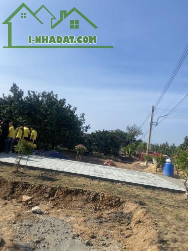 CƠ HỘI VÀNG SỞ HỮU ĐẤT BÀU BÀNG – GIÁ TỐT ĐẦU TƯ & AN CƯ