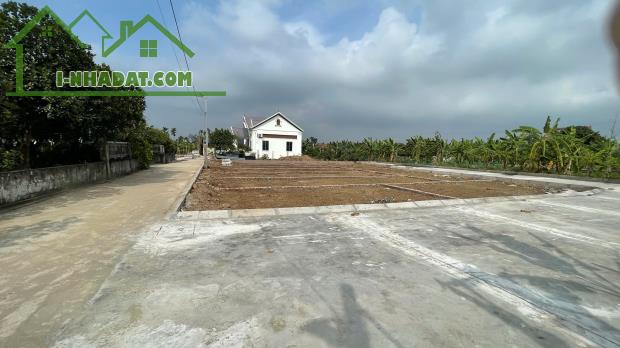 BÁN ĐẤT QUÁN TRANG AN LÃO | CHỈ 480 TRIỆU/LÔ | SỔ ĐỎ RIÊNG - 1