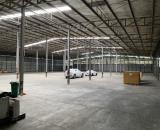 BD1. Cho thuê kho xưởng KCN Mỹ Phước, Bến Cát, Bình Dương