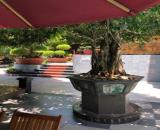 BIỆT THỰ SIÊU SANG – VỊ TRÍ KIM CƯƠNG SÁT BIỂN MỸ KHÊ – DÒNG TIỀN USD   Bán biệt thự sang