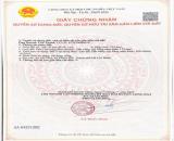 CHỦ CẮT LỖ BÁN GẤP NỀN ĐẤT BIỆT THỰ 242 MÉT NGAY BIỂN PHƯỚC HẢI - HỒ SỞ BÔNG GIÁ 2 TỶ