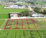 🔥 TOP 1 VỊ TRÍ ĐẤT ĐÁNG ĐẦU TƯ TẠI ĐỨC HÒA SÁT ĐƯỜNG ĐT.823D – SHR