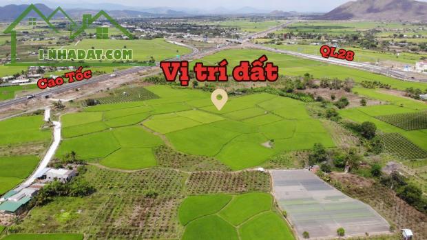 BÁN ĐẤT LÚA 624m² TRUNG TÂM THỊ TRẤN MA LÂM