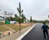 Bán đất 100m2 View Hồ ở Cổ Đông - Gần Khu Đô Thị Vệ Tinh Hoà Lạc - Khu vực phát triển mạnh