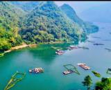 Bán đất Tản Lĩnh, Suối Hai, gần TL, Vườn QG Ba Vì, Yên Bài, lô góc, oto, 1029m, 4.4tỷ