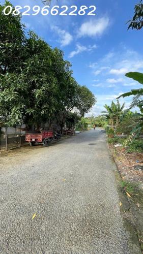 Bán nhà Sổ Hồng KDC Xẻo Vạt, Đồng Tháp. DT 219m2 ful thổ cư (10x18m nở hậu), 2PN, Hướng - 4