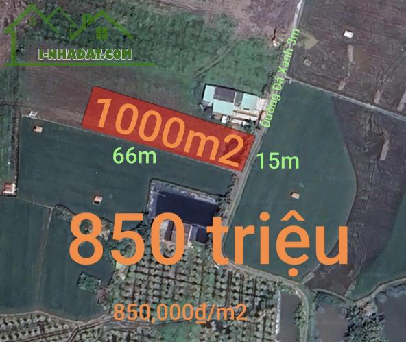 Bán lô đất lúa gần quốc lộ 50 B giá 850 triệu