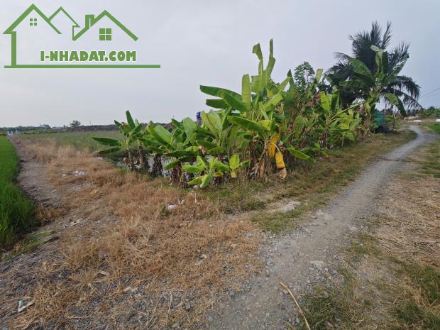 Bán lô đất lúa gần quốc lộ 50 B giá 850 triệu - 2
