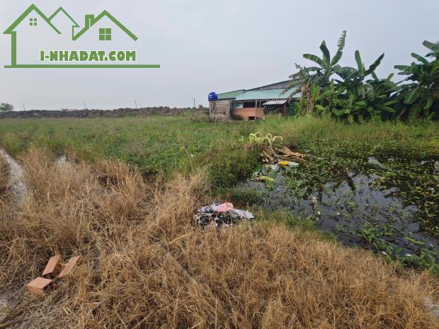 Bán lô đất lúa gần quốc lộ 50 B giá 850 triệu - 3