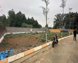 Cơ hội đầu tư hiếm – đất full thổ cư Hòa Lạc, giá hơn 2 tỷ