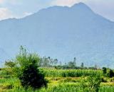 Bán đất gần Làng Văn Hóa, ĐH QG Hà Nội, UB xã Yên Bài Ba Vì, vuông, đg thông, 310m, 4.7tỷ