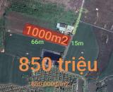 Bán lô đất lúa gần quốc lộ 50 B giá 850 triệu