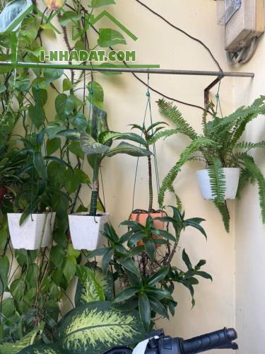 Bán nhà 20/ Cô Bắc, P.1, Phú Nhuận: 3,3 ( nở hậu 4m) x 15m, giá 11,8 tỷ. - 5