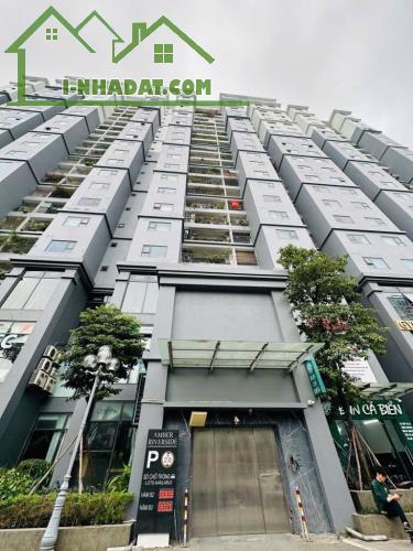 Cần bán căn hộ Chung Cư Amber Riversede Minh khai - 80m2 x 2 ngủ 2 vs - tầng trung - SĐCC - 4