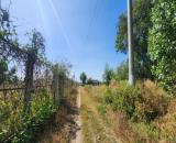 bán gấp 12x96 có sẵn 60m2 thổ cư hẻm xe hơi Đinh Công Tráng, Tân Tiến, LaGI. Giá 1 tỷ