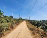 bán gấp 1116m2 đất phủ hồng hẻm xe hơi đinh công tráng, tân tiến, lagi. giá rẻ 800 triệu