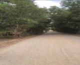 Bán đất lúa mặt tiền tỉnh lộ 830, xã Tân Phú , Đức Hòa giá giảm còn 5,5 tỷ