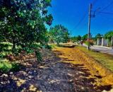 CƠ HỘI ĐẦU TƯ ĐẤT NỀN TIỀM NĂNG – Trừ Văn Thố, Bàu Bàng - Giá Rẻ