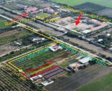 SIÊU PHẨM ĐẤT VƯỜN THỔ CƯ – GIÁ TỐT NHẤT KHU VỰC THỦ THỪA