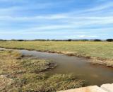 🌳2 sào 2 cây trồng Kim Bình, phường Hàm Thắng ❌Giá siêu hấp dẫn