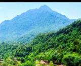 Bán đất Thụy An, Ba Vì, sát sân golf Suối Hai, TL91, oto, đg thông, nở hậu, 146m, 1.3tỷ