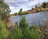 🌿 BÁN 2 SÀO 2 ĐẤT VƯỜN HÀM HIỆP – BÌNH THUẬN💰 Giá bán: 2 tỷ 8