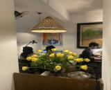 Bán nhà TT Thành Công 110m Tầng 1- O TÔ TRÁNH ĐỖ CỬA - GẦN TRƯỜNG - CÔNG VIÊN- TRƯỜNG CHỢ