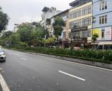 🌏 BĐS Chuẩn Quốc Tế Gần Hồ Tây – Starlake – Kết Nối Sân Bay Chỉ 15 Phút