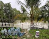 Hơn 13000m2, Đất ruộng SXNN, sẵn nhà kho,.. mt150m, 6.5 tỷ, có TL, Thụy Lâm, Đông Anh.