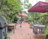 Cho thuê quán kinh doanh ăn sáng, cà phê kết hợp ở tại An Đà, Ngô Quyền