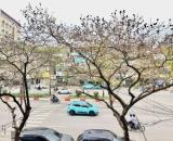 Bán Nhà Mặt Phố Văn Cao Ba Đình 47m2-5T 5m Vỉa Hè 39,5 Tỷ Văn Cao.