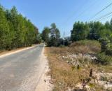 Bán 10m x 44m đất ODT Đường Lý Nam Đế - Phước Hội - LaGi giá mềm