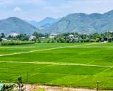 Bán đất Minh Quang, Ba Vì, thế đất cao, view toàn cảnh, 150m ra TL415, oto, 1081m, 2.6tỷ