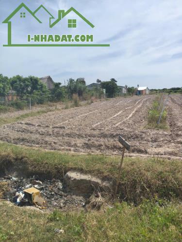 Bán Đất Tây Ninh giá rẻ - 3